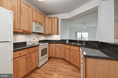 700 Cattail Cove, Cambridge, MD 21613 - photo 6