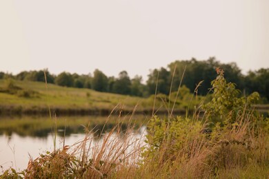 Bluffton Rd, Fort Gaines, GA 39851 - photo 5