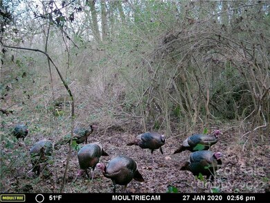 743 Cove Rd, Gastonia, NC 28052 - photo 4