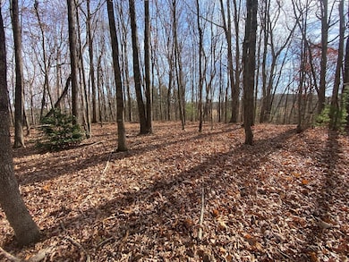 Lot 5 Ivanhoe Rd, Foster Falls, VA 24360 - photo 5