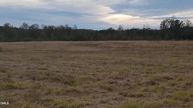 111 Old Wagon Ln, Sanford, NC 27332 - photo 2