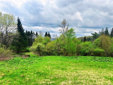 0 Sisson Hill Rd unit R1607206, Unadilla, NY 13849 - photo 4