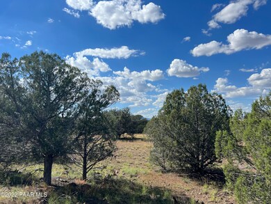 S2 358 Lucky Ln, Ash Fork, AZ 86320 - photo 5