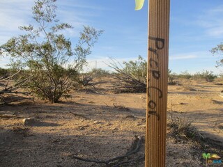 some markers on property