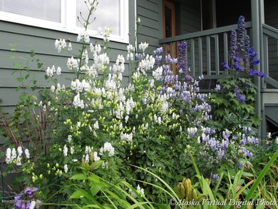 front entry flowers