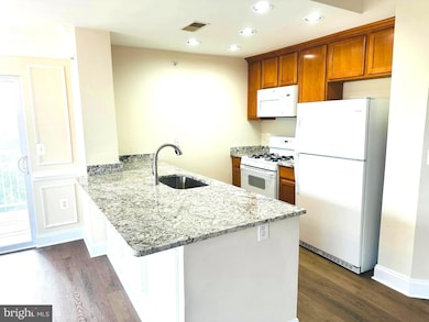 12828 Clarksburg Square Rd unit 303, Clarksburg, MD 20871 - photo 6