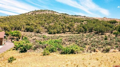 605 & 615 SE Pine St, Cedaredge, CO 81413 - photo 5