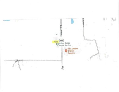 C-2 Louisiana 445, Robert, LA 70455 - photo 6