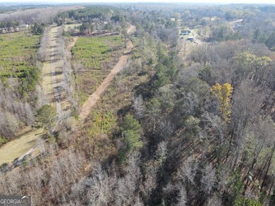 0 Oconee Rd unit 10656247, Buckhead, GA 30625 - photo 5