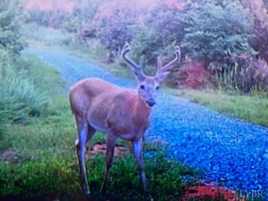 0 W Perch unit 362248, Monroe, VA 24574 - photo 3