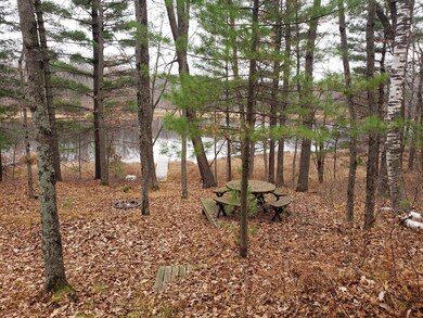 W14664 Hungry Lake Rd, Chetek, WI 54728 - photo 4