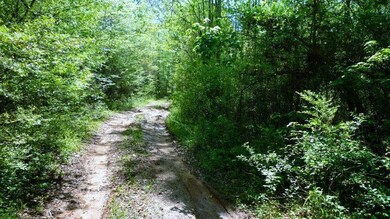39.11 Acres Lone Oak Rd unit 39.11 Acres Lone Oak, Anderson, SC 29621 - photo 2