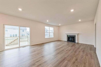 11116 Michigan Place, Crown Point, IN 46307 - photo 4