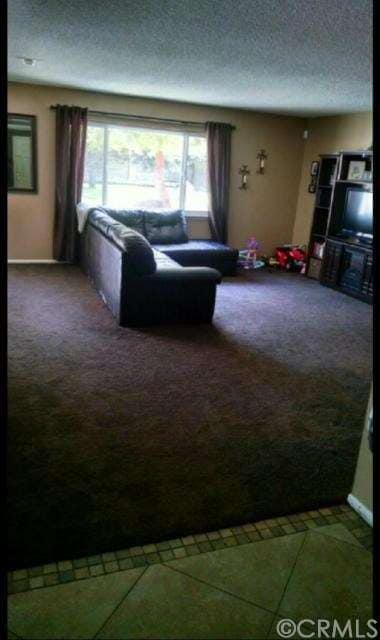 Living Area of Great Room