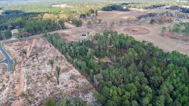 Nsn Brashier Ln, Lucedale, MS 39452 - photo 3