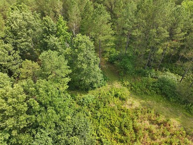 Ms-46, Mantee, MS 39751 - photo 5