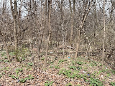 1213 W Park Front St, Joliet, IL 60436 - photo 4