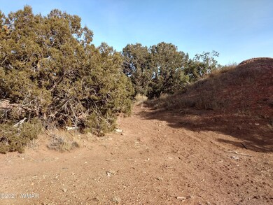 IMG_20210114_145948554_HDR