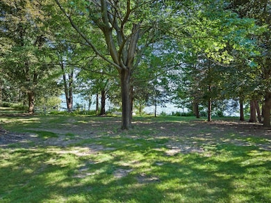 Mature Trees