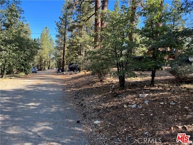 0 Kern Ave unit 25621451, Big Bear, CA 92386 - photo 2