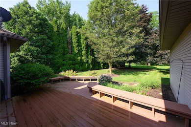 986 S Azalea Blvd, Barberton, OH 44203 - photo 4