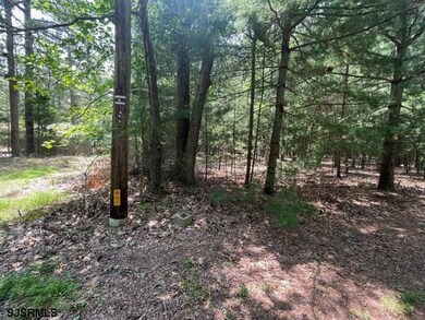 0 Columbia Rd unit 586593, Egg Harbor City, NJ 08215 - photo 2