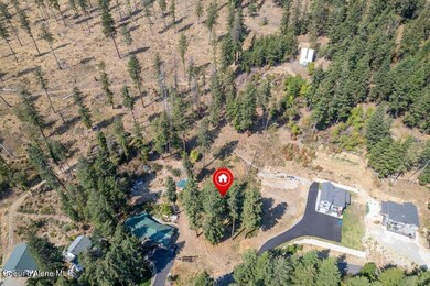 002-762GlacierLoopRoad-Bayview-ID-83803-