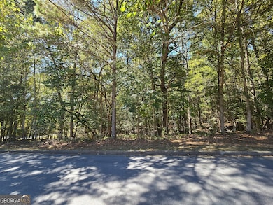 4215 Sandstone Shores Dr, Lithonia, GA 30038 - photo 5