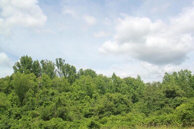 IMG_4286