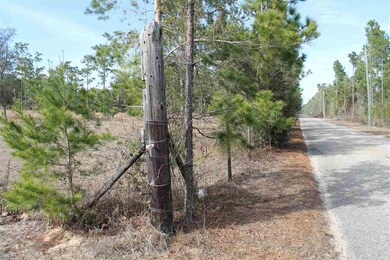Nichols Creek Rd looking towards NE corner