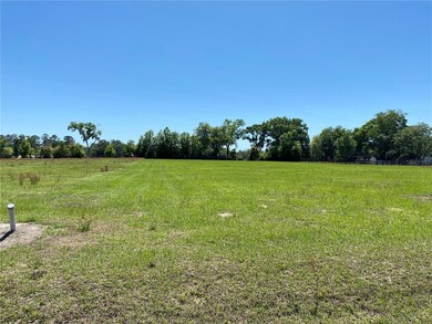 south view