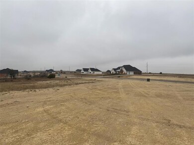 2056 Eagles Ridge Dr, Weatherford, TX 76087 - photo 2