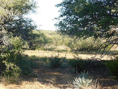 Tract 3 County Road 131, Brownwood, TX 76801 - photo 7