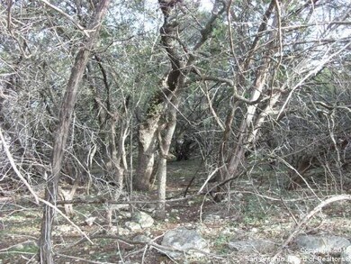 9030 Saddle Trail, San Antonio, TX 78255 - photo 5