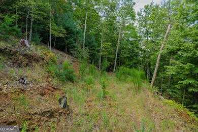 0 Dusty Danno Trail unit 25,27 10601098, Mineral Bluff, GA 30559 - photo 6