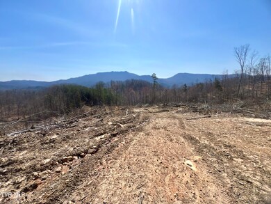 _Pic4 (21)