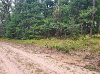 00 Parkside Ave, Yates Township, MI 49642 - photo 4