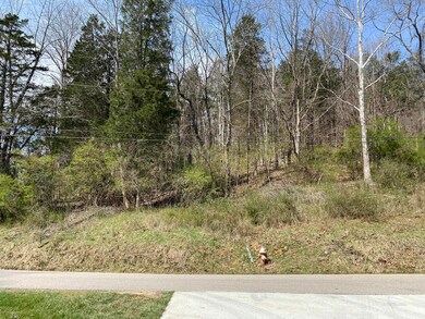 5031 Lynn Creek Rd, Lavalette, WV 25535 - photo 7