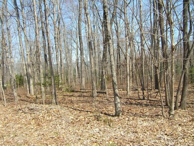 567 S and T Rd, Dunlap, TN 37327 - photo 4