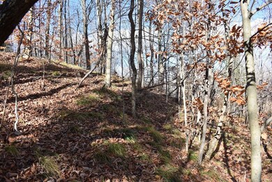 N13315 Harper Rd, Athelstane, WI 54104 - photo 7