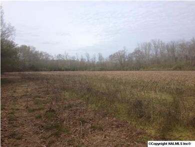 ANOTHER VIEW OF THE BACK FIELD