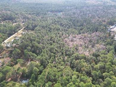 0000 Lavon Rd, Bagdad, FL 32583 - photo 2