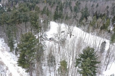 1461 W Gallagher Rd, West Branch, MI 48661 - photo 7