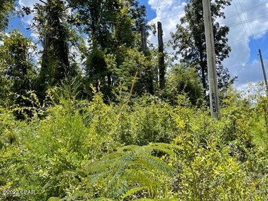 0 Skyview Rd unit 762410, Marianna, FL 32446 - photo 4