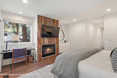 450 S Original St unit 5&10, Aspen, CO 81611 - photo 4