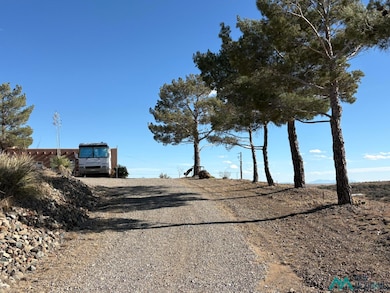 521 E Trailing Heart Dr, Silver City, NM 88061 - photo 6