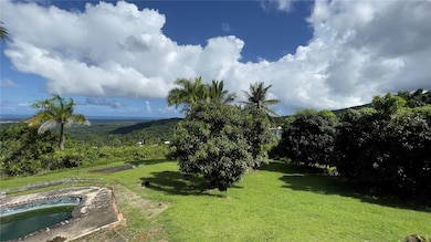 960 km 3.2 Lot A Bo Guzman Arriba, Rio Grande, PR 00745 - photo 7