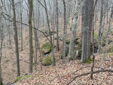 TBD1 E Willow Rd, Jackson Township, IN 47424 - photo 5