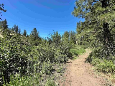 25656 Pine Cone Ct E, Lincoln, WA 99147 - photo 6