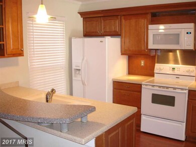 1 Battersea Bridge Ct, Lutherville Timonium, MD 21093 - photo 7